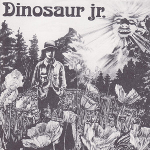 Dinosaur cover