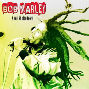 Soul Shakedown cover