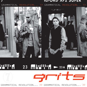 Grammatical Revolution cover
