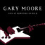 Live at Monsters of Rock cover