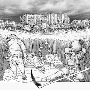 Collection cover