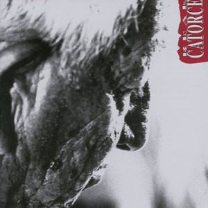 Cicatrices cover