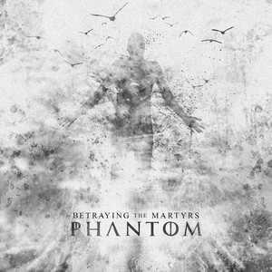 Phantom cover