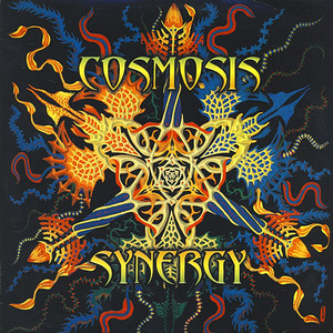 Synergy cover