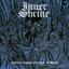 Nocturnal Rhymes Entangled in Silence Albumcover