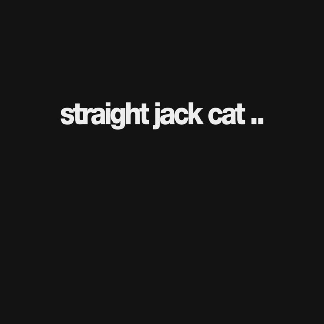 Straight Jack Cat Photo