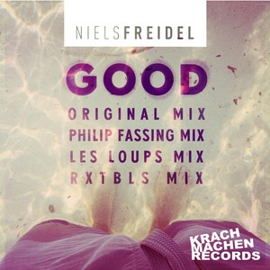 Niels Freidel