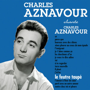 Le Feutre taupé cover