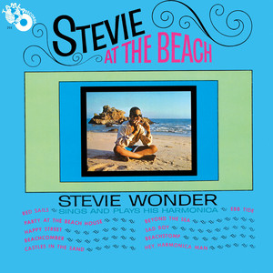 Stevie at the Beach cover