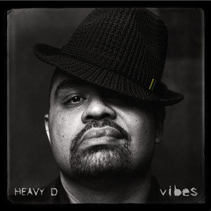 Vibes cover
