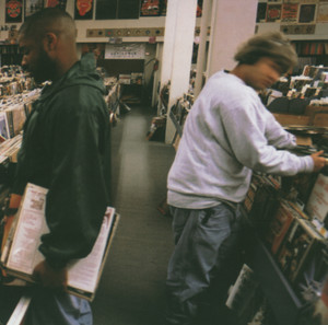 Endtroducing..... album