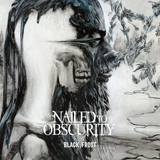 Nailed to Obscurity Photo