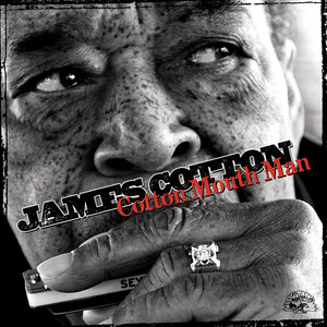 Cotton Mouth Man cover