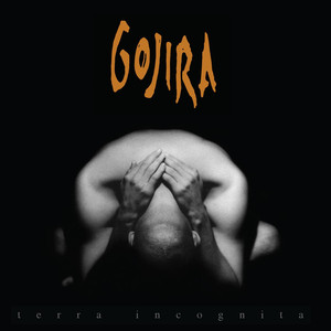 Terra Incognita album
