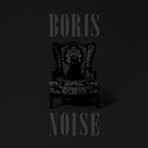 Noise cover