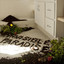 Invisible Paradise Albumcover