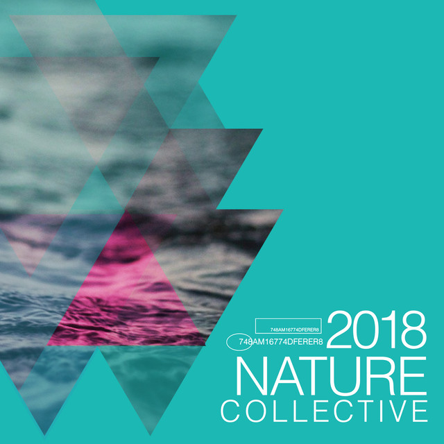 2018 Nature Collective