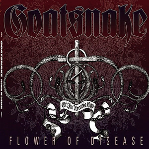 Flower of Disease cover