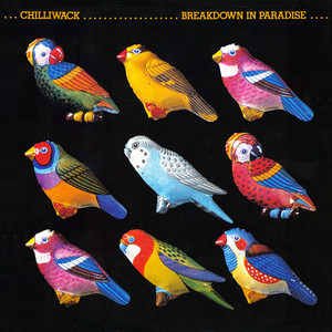 Breakdown In Paradise cover