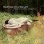 These Fleeting Moments cover