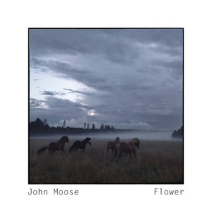 John Moose