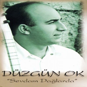 D&uuml;zg&uuml;n Ok