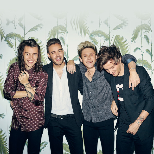 Aug 29 2015 One Direction Augustana At Ford Field Detroit Michigan 