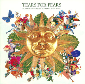 Tears Roll Down: Greatest Hits 82-92 cover
