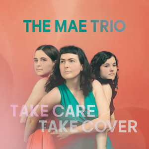 Take Care Take Cover cover