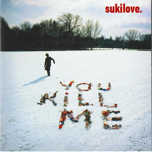 You Kill Me cover