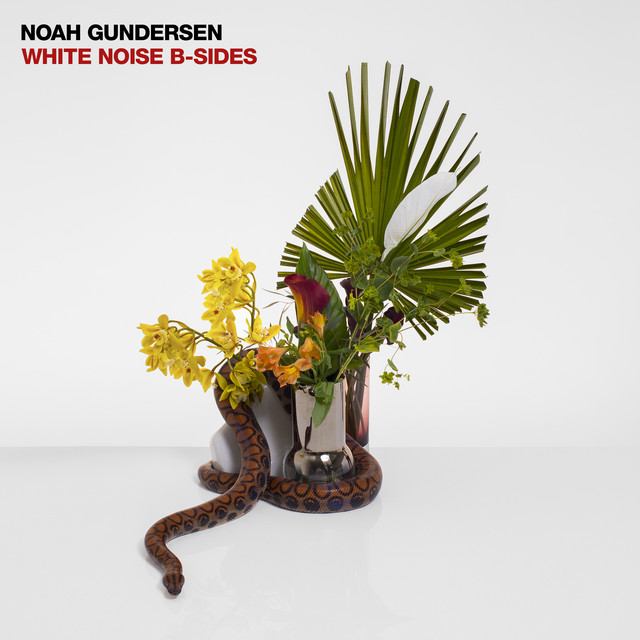 Musik Album: 'WHITE NOISE B-SIDES' von  Noah Gundersen