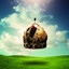 King cover