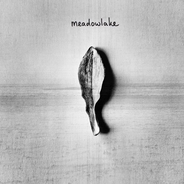 Meadowlake cover