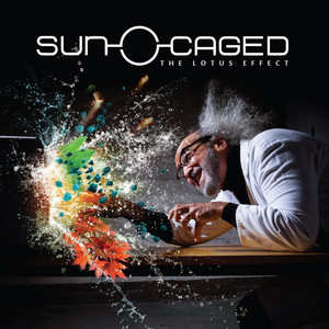 The Lotus Effect cover