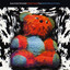 Testing to Destruction cover