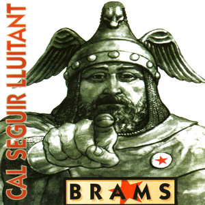 Cal seguir lluitant cover