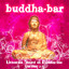 Universal Sound of Buddha Bar Version 2.0 Albumcover