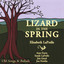 Lizard In The Spring Albumcover