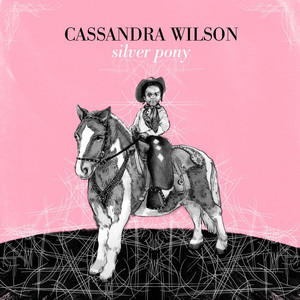 Silver Pony album