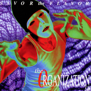Savor the Flavor cover