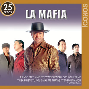 Íconos 25 Éxitos album