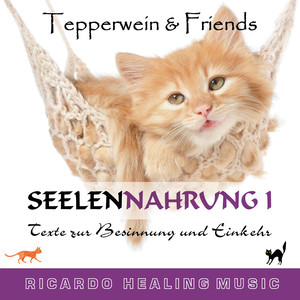 Seelennahrung 1: Texte zur Besinnung und Einkehr (Tepperwein and Friends)