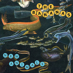 New Animals cover