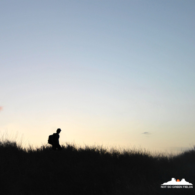 Musik Album 'Not So Green Fields'