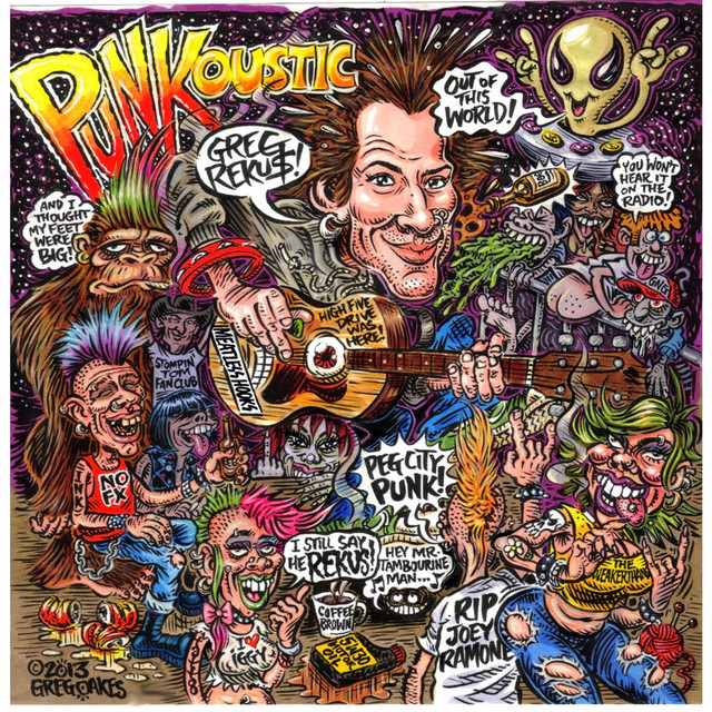 Punkoustic cover
