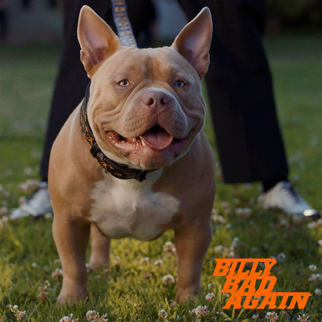 Billy Bad Again cover
