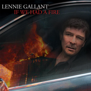 If We Had a Fire cover