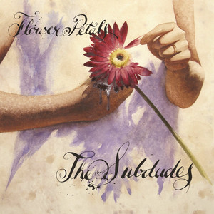 Flower Petals cover