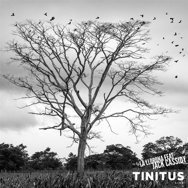 Tinitus Photo