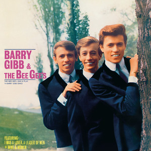 The Bee Gees Sing and Play 14 Barry Gibb Songs album